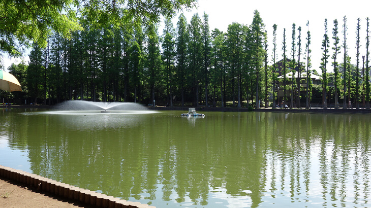 某公園の池